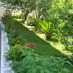 Mihaela Appartement