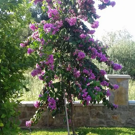 Mihaela Apartmán Kaštela