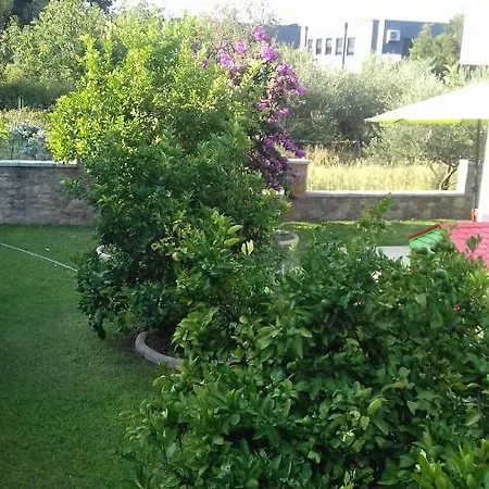 Mihaela Apartment